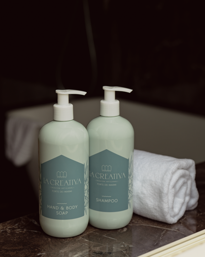 Hand & Body soap and Shampoo set